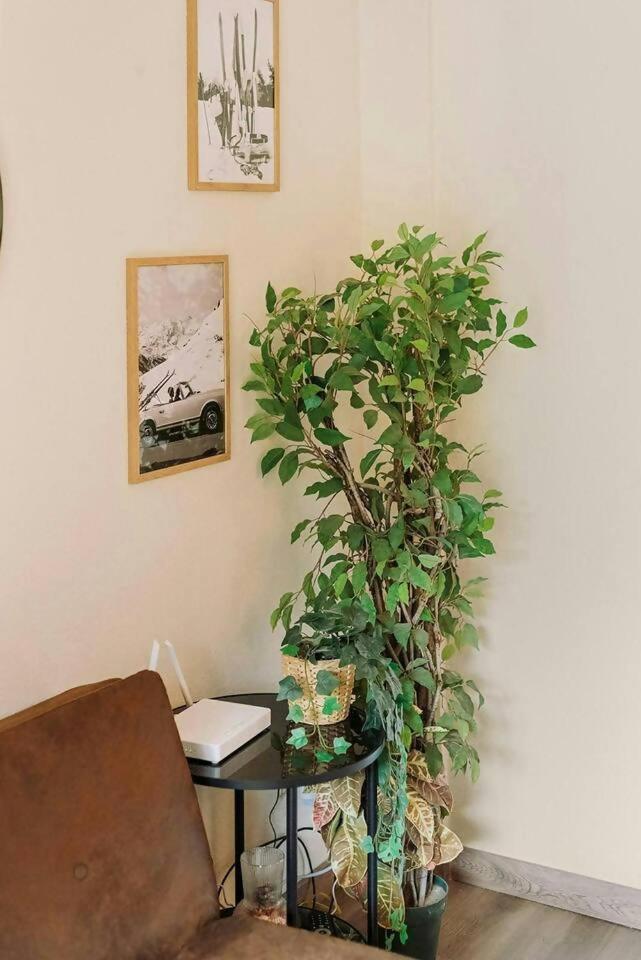 Апартаменты La Casita Del Arbol Сальент-де-Гальего Экстерьер фото